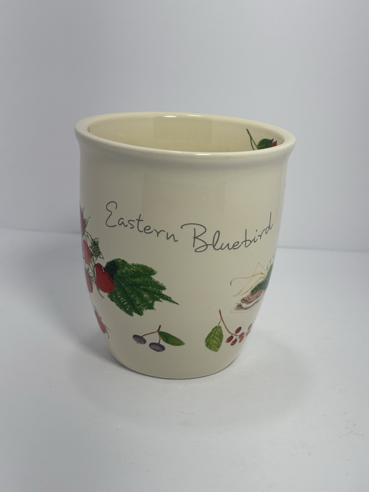 CJ Wildlife Eastern Bluebird Ceramic Coffee Mug Tea Cup 12oz