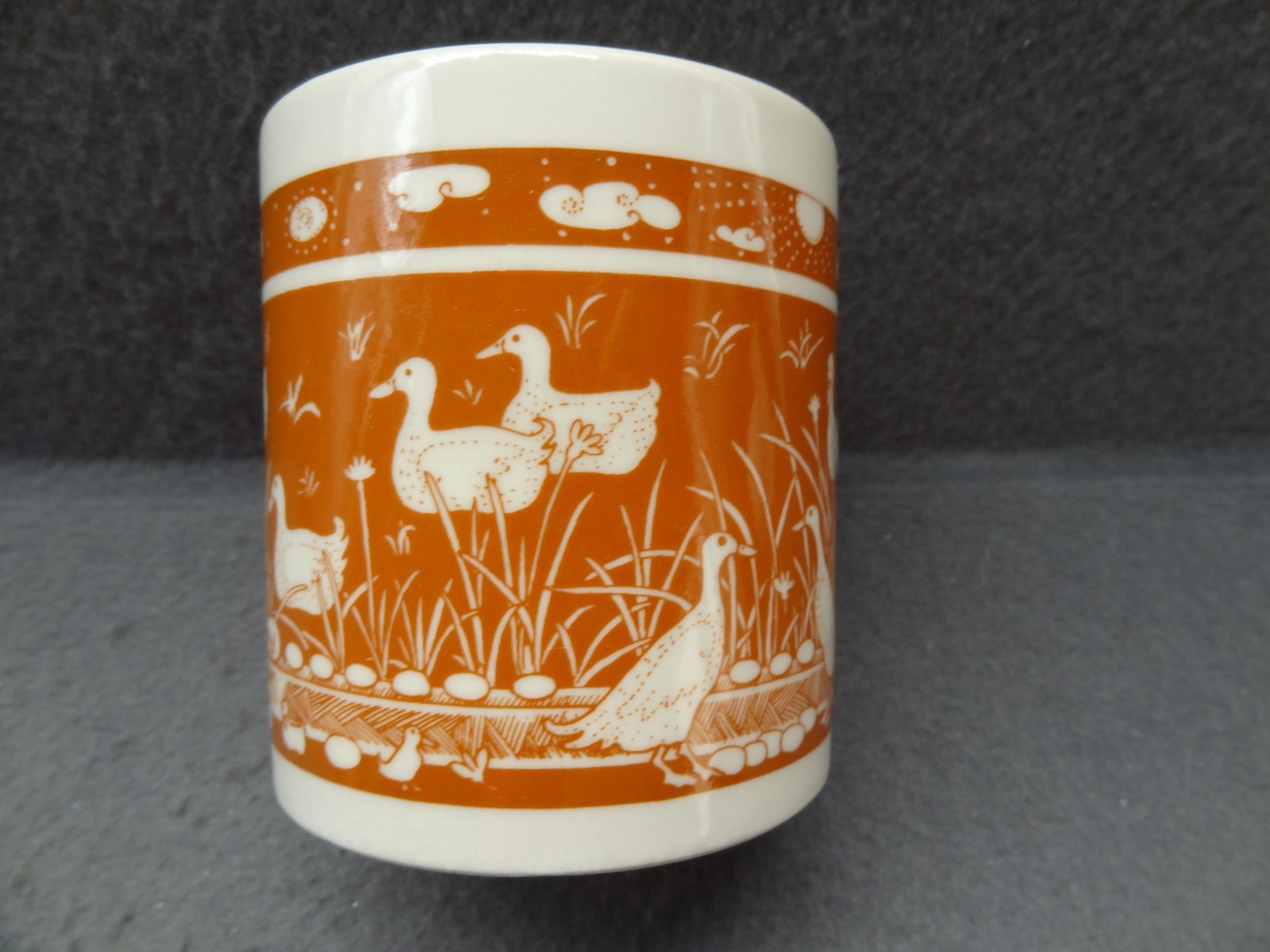 Taylor & NG 1978 Coffee Cup Mug Duck Pond Lake San Francisco 70s Made in Japan