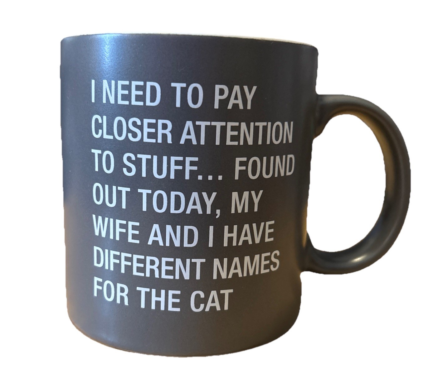 Cat Owner Couples Funny Coffee Mug Large