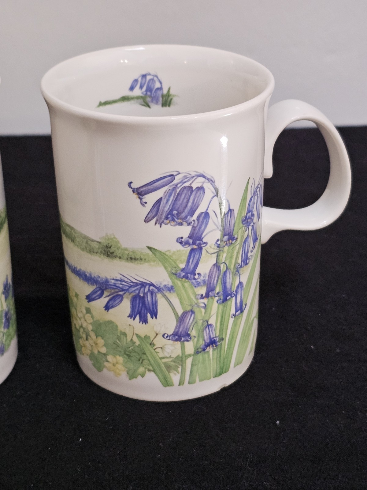 Dunoon Dog Rose & Bluebell Fine Bone China Floral Mugs Set of 2