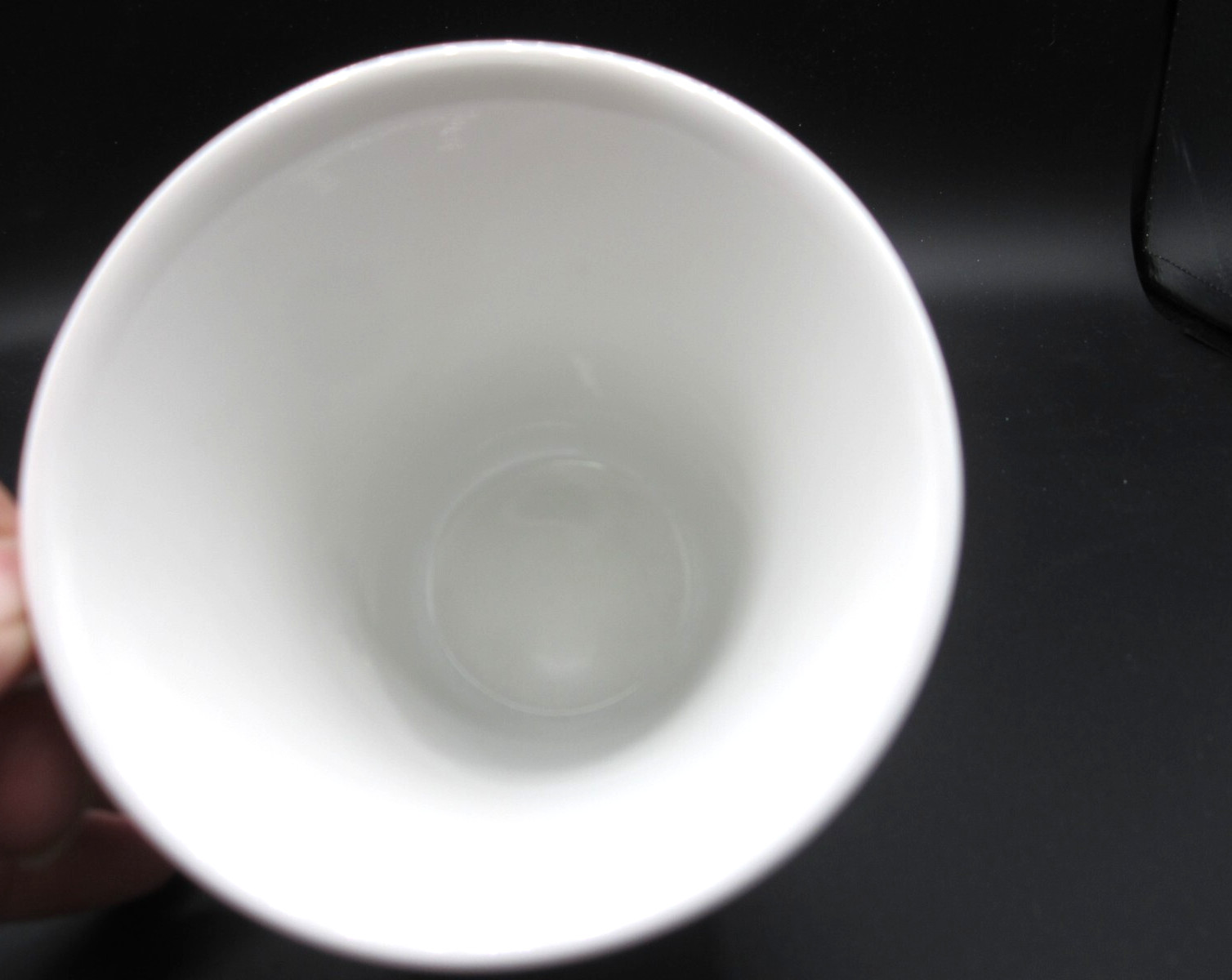 Coventry Jeweled Peacock White Multicolor Tea Coffee Cup 12 oz (512)