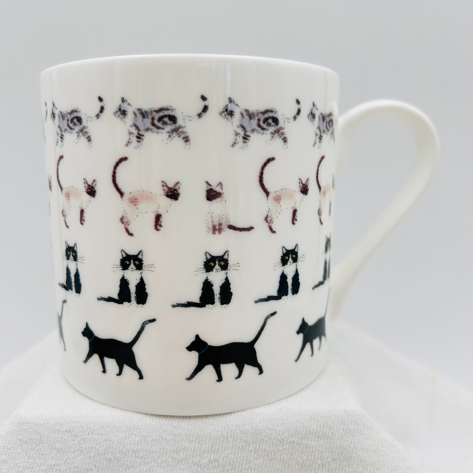 Sophie Allport Purrfect Cats Kittens Coffee Mug Fine Bone China NEW