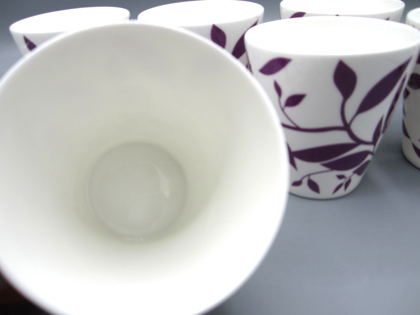 Set of 6 Ivy, White & Purple Ivy Vines Fine Bone China Coffee Tea Mug 8 oz (Box)
