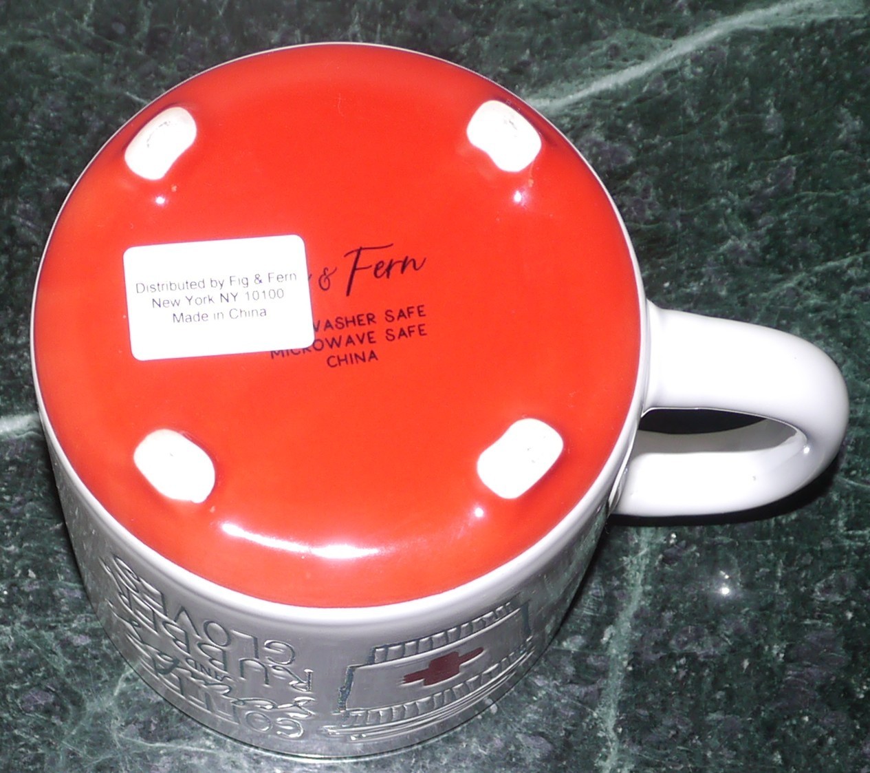 NEW Fig & Fern Coffee Mug Coffee Scrubs Rubber Gloves Nurse CNA Doctor Dentist