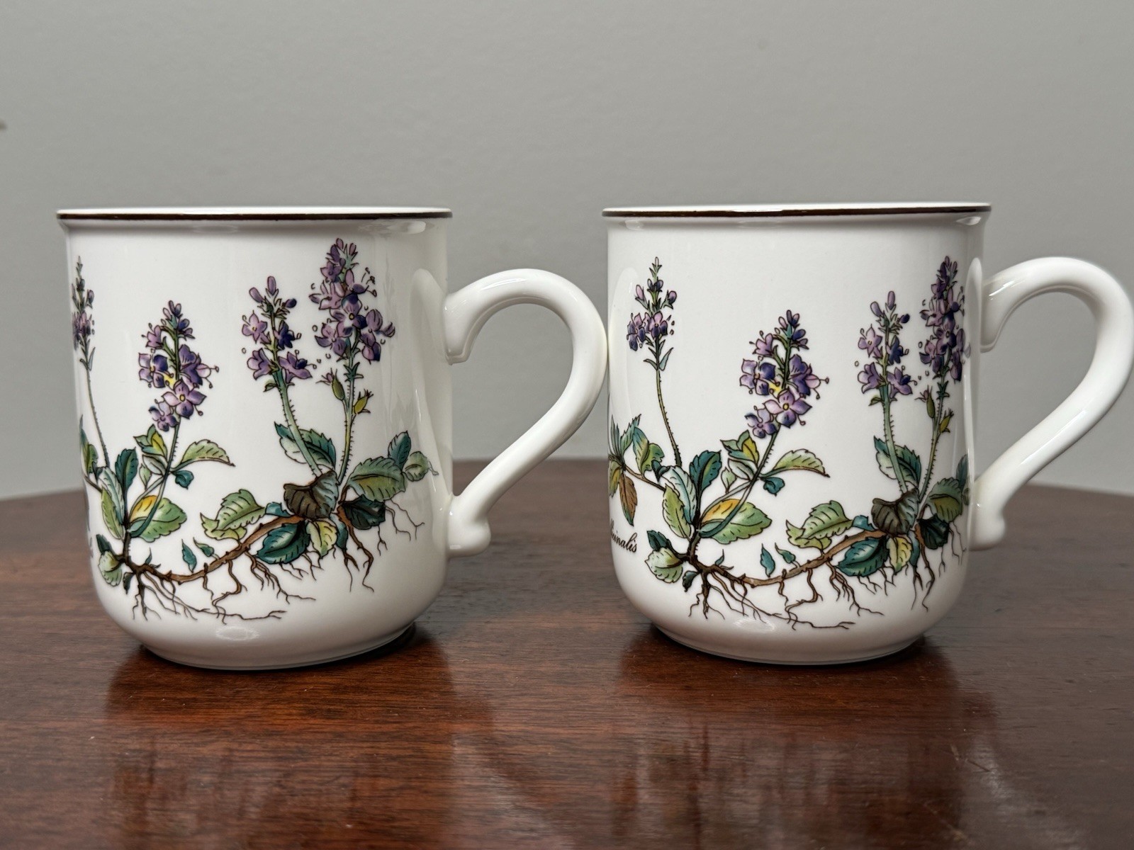 Villeroy & Boch BOTANICA Mug Coffee Tea Veronica Officinalis Set of 2 Mugs MINT