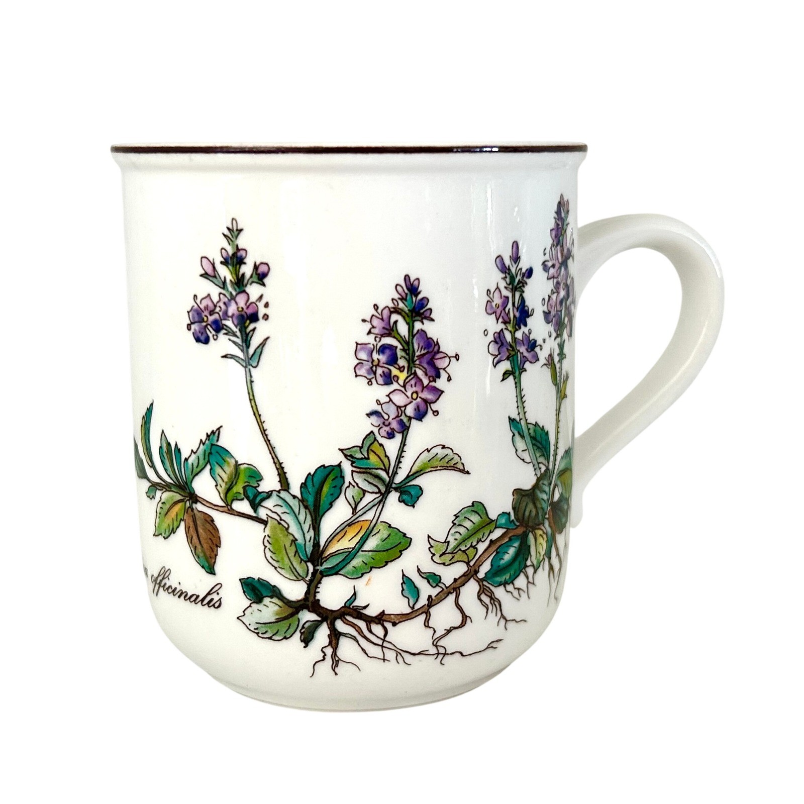Villeroy & Boch Botanica Veronica Officinalis Mug Vitro-Porcelaine Luxembourg