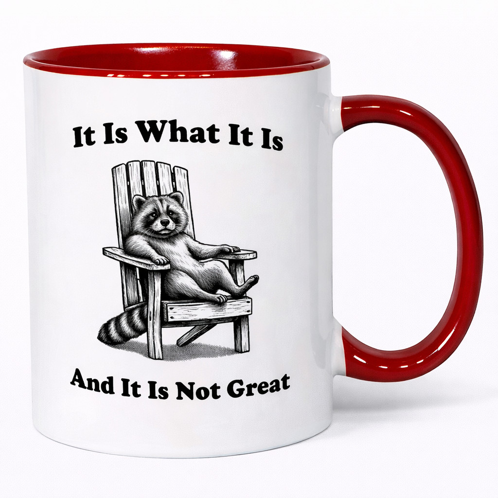 It Is What It Is Mug – Funny Raccoon Coffee Cup – Sarcastic Quote Gift – 11oz Ce