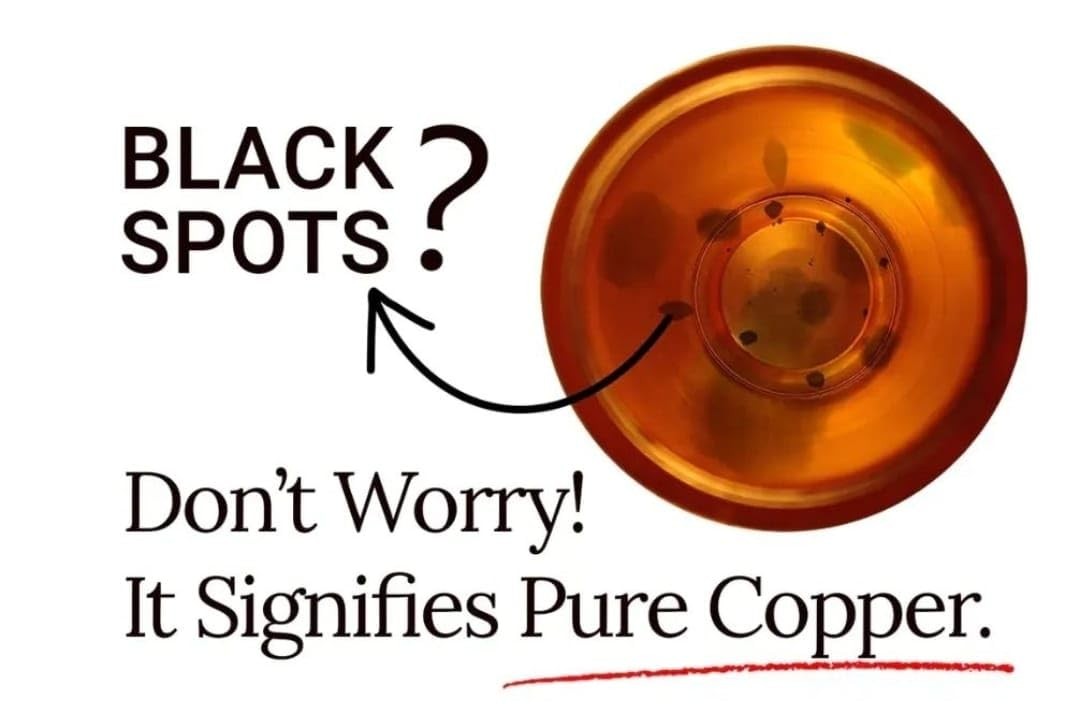 STAGLIFE 16 Oz Black Moscow Mule Mugs Pure Copper 2 Count (Pack of 1),
