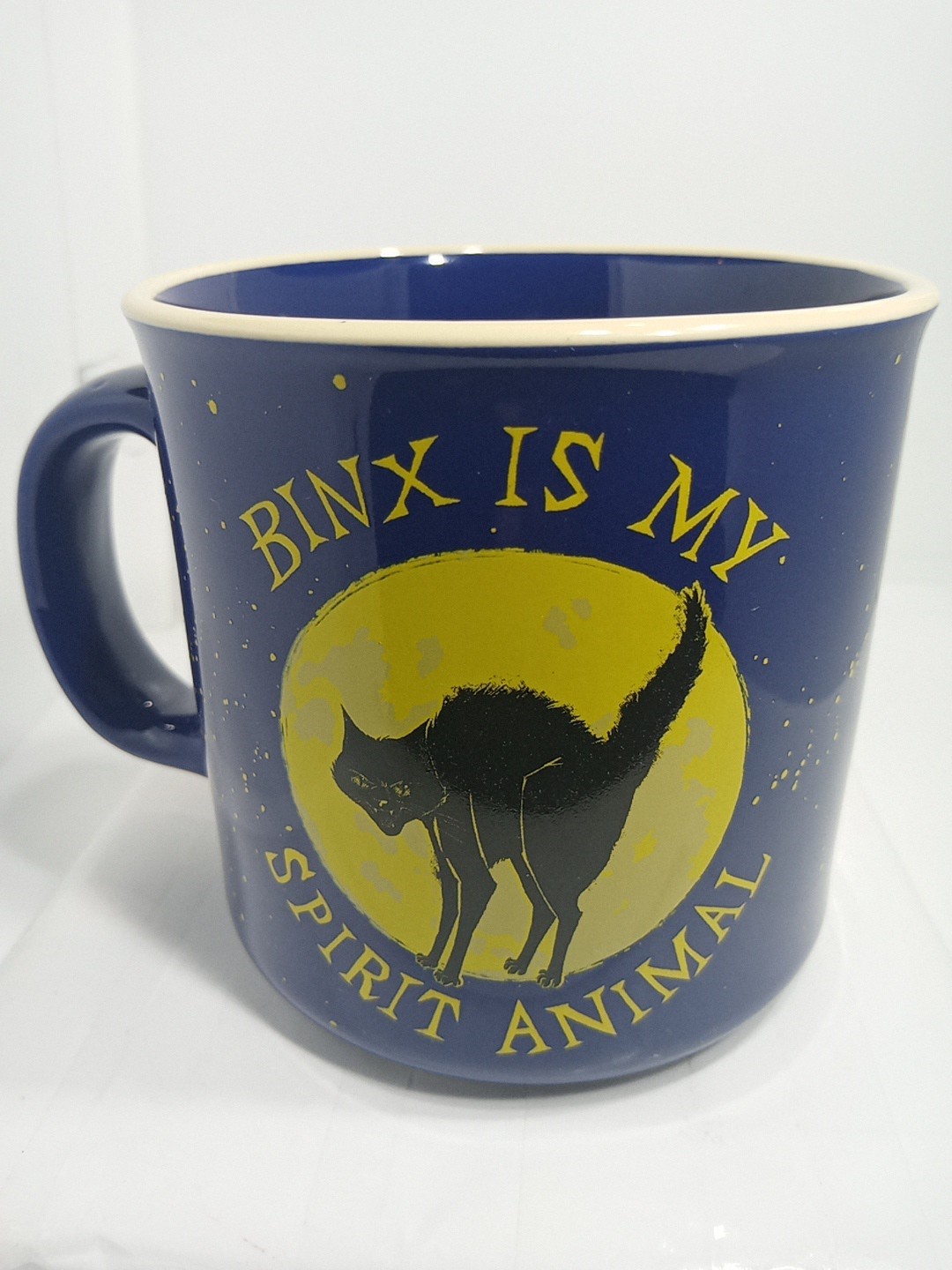 BINX IS MY SPIRIT ANIMAL MUG. BINX COFFEE MUG. DISNEY CAT DECO MUG. B398