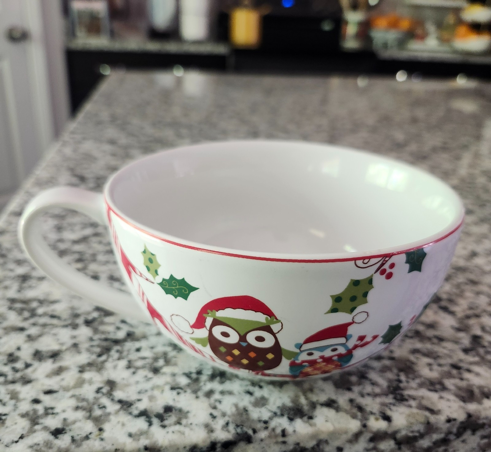 222 Fifth PTS Int Enchanted Woods Mug Owl Christmas Holiday Fine China Jumbo EUC