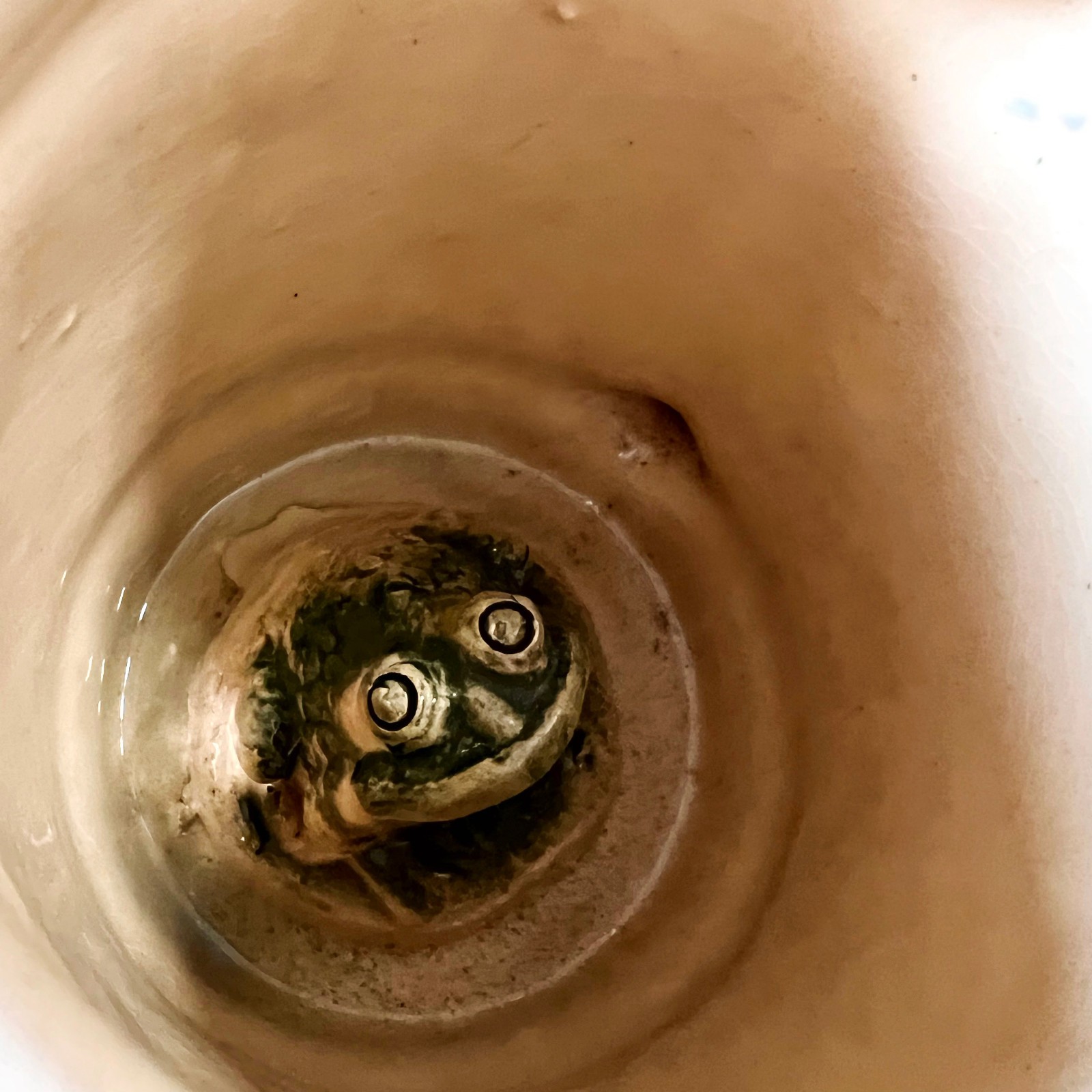 Bottom of Mug Frog Drinkware Ukraine Era Ceramic Beer Tankard Log Handle Novelty