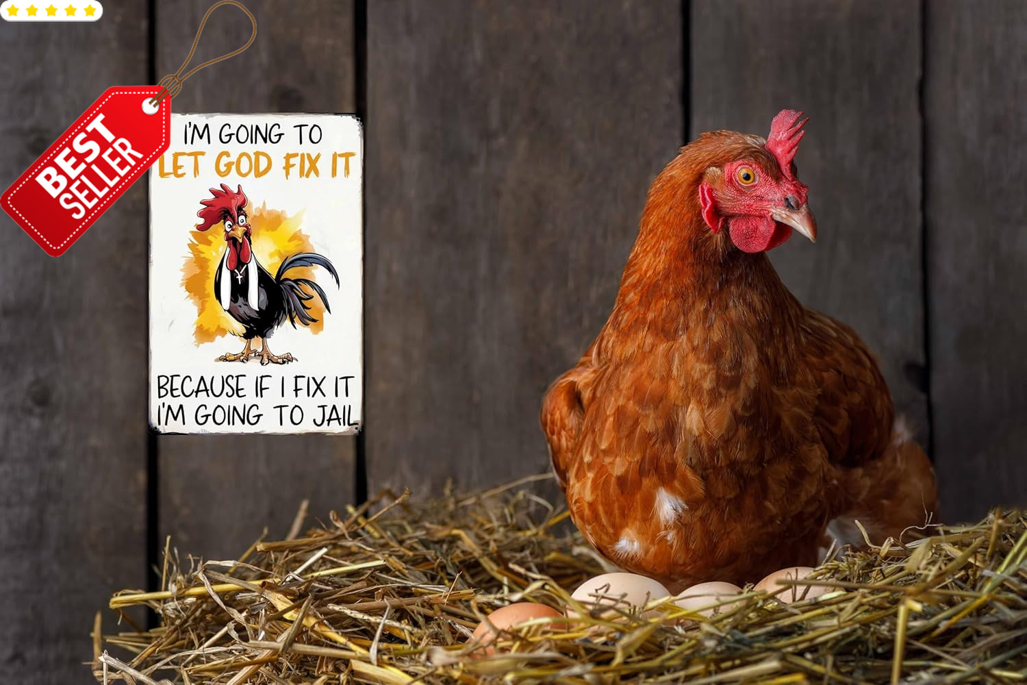Funny Christian Chicken Tin Sign Home Farm Coop Kitchen Garden 8×12 – US