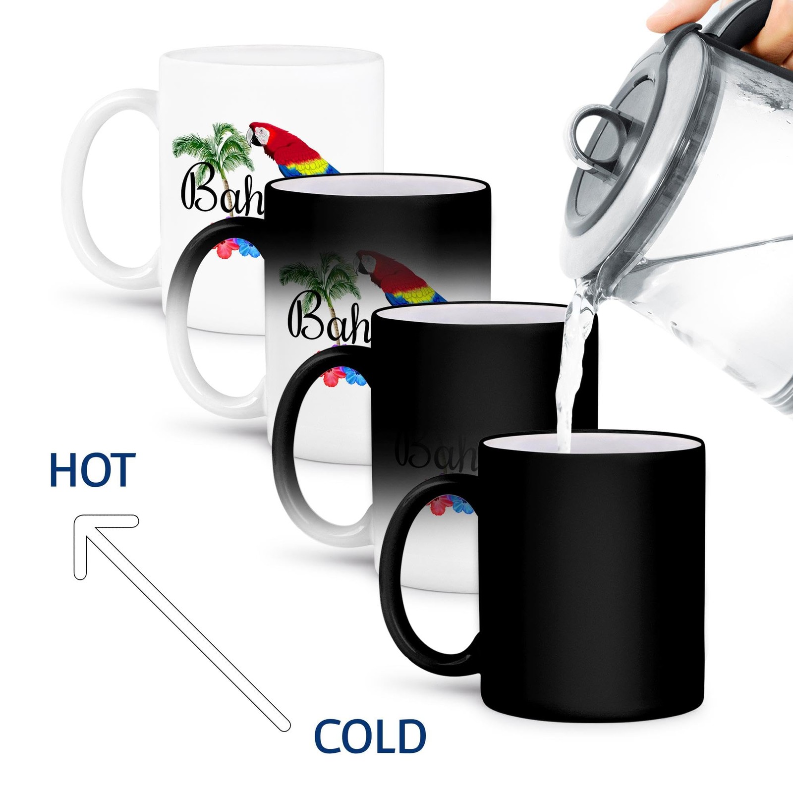 3dRose Bahamas Nassau Caribbean Parrot & Flowers Magic Color Changing Mug 11oz