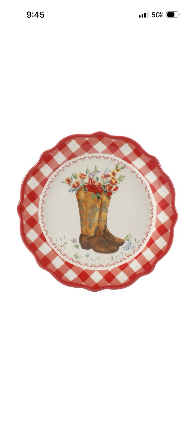 Pioneer Woman Novelty 6 Piece 7 Inch Plates With Metal Rack Gingham Farm Design