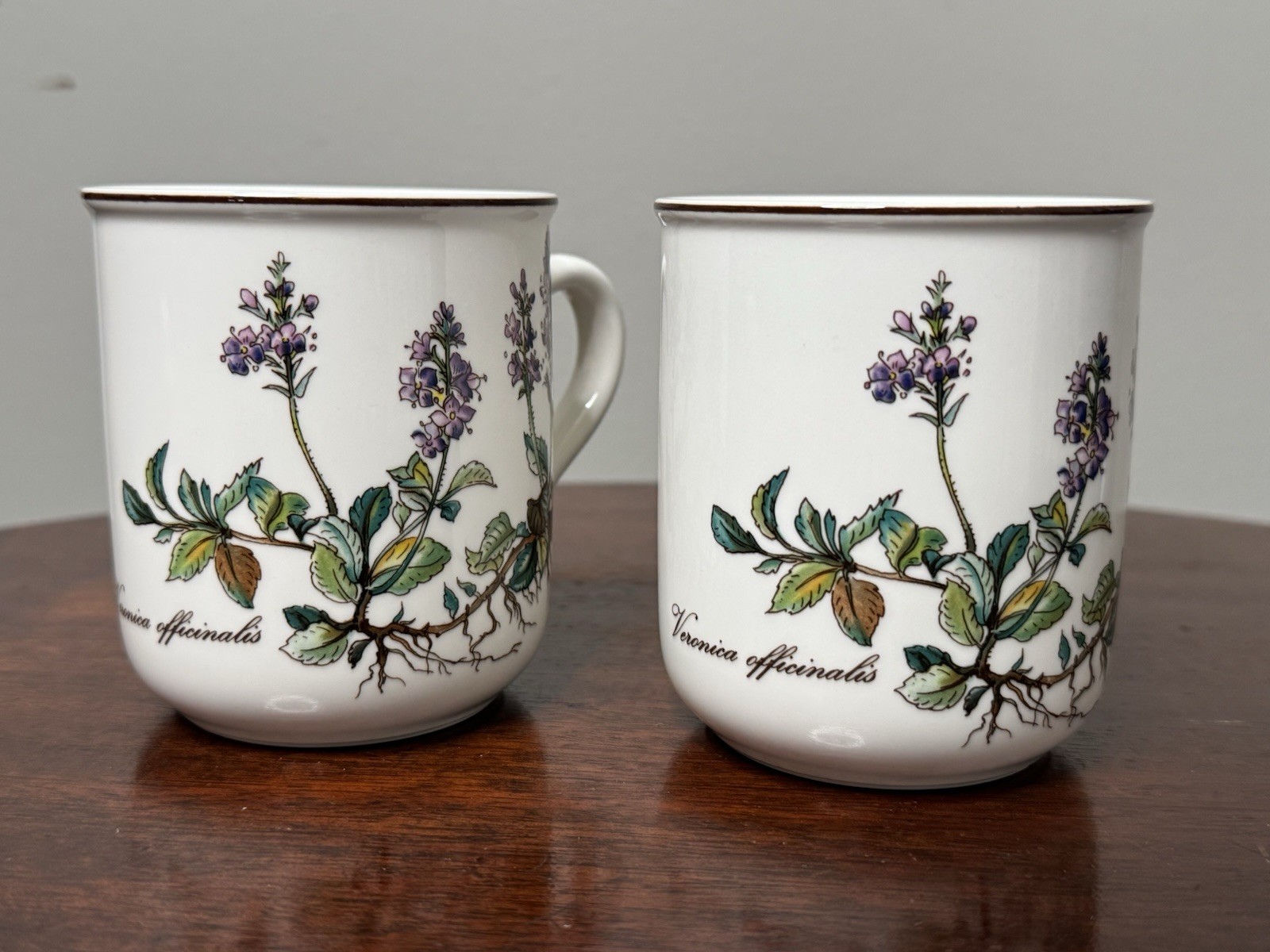 Villeroy & Boch BOTANICA Mug Coffee Tea Veronica Officinalis Set of 2 Mugs MINT