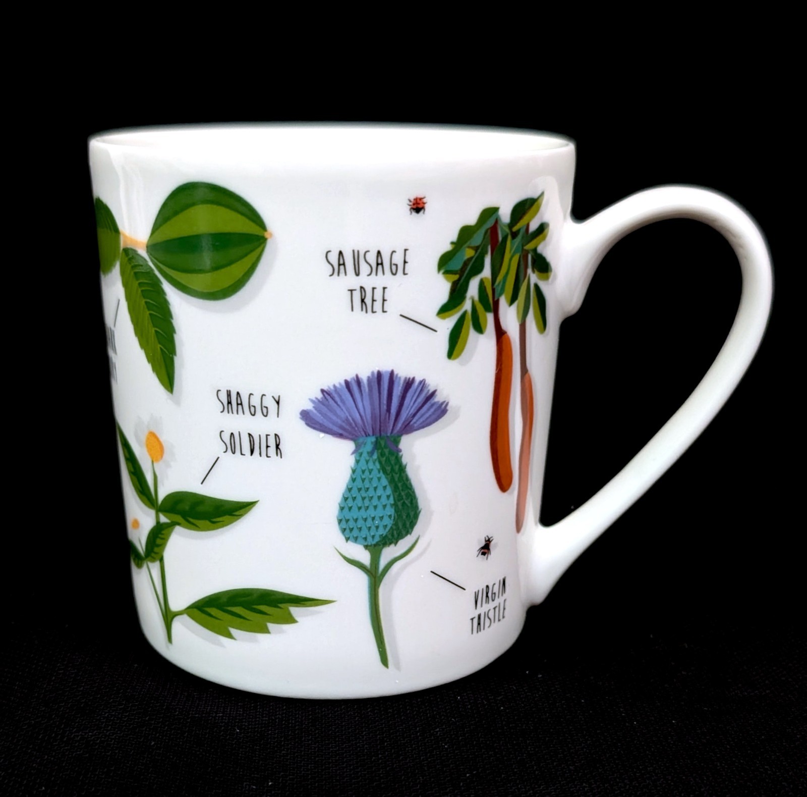 Ginger Fox Mug ~ Ridiculously Rude Plants ~ Adult Botanical Humor ~ 2019