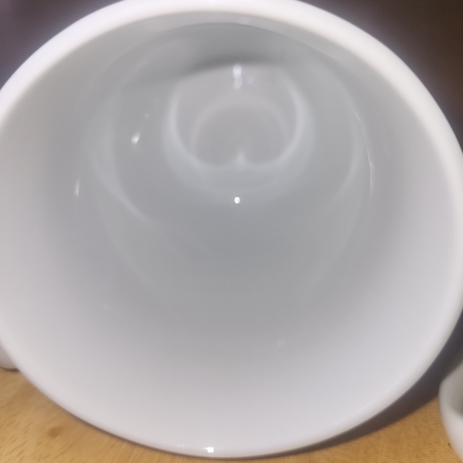 Crate & Barrel Porcelain Coffee Mug Set Hampton Green Solid Color 3-Piece