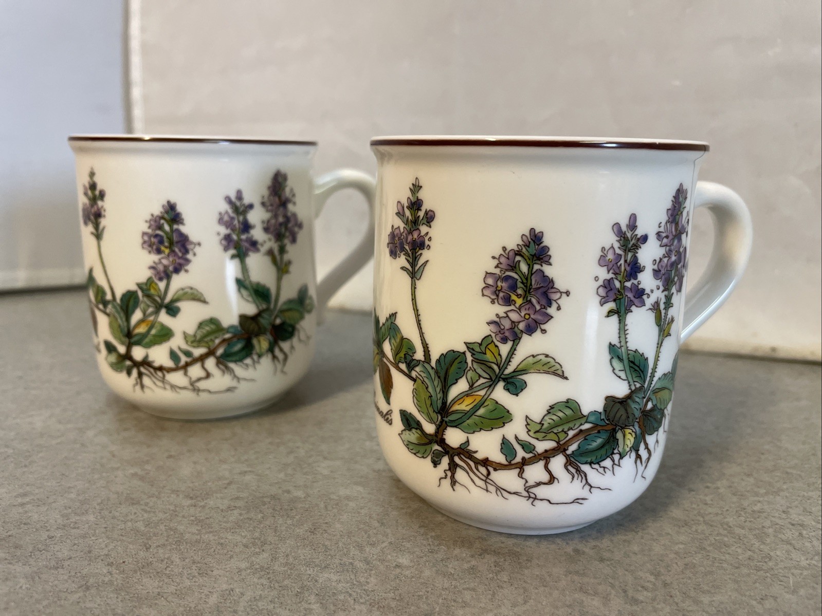 Villeroy & Boch Botanica Mug Coffee Tea Veronica Officialis Set of 2 Luxembourg