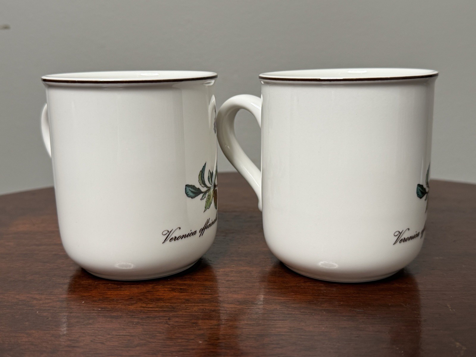 Villeroy & Boch BOTANICA Mug Coffee Tea Veronica Officinalis Set of 2 Mugs MINT