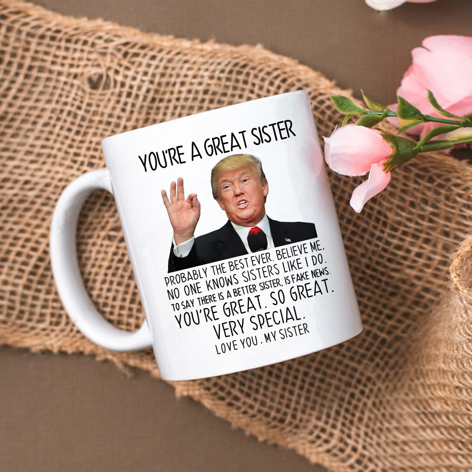 You’re A Great Sister Mug Funny Sister Gifts From Sister Brother Sister Birthday