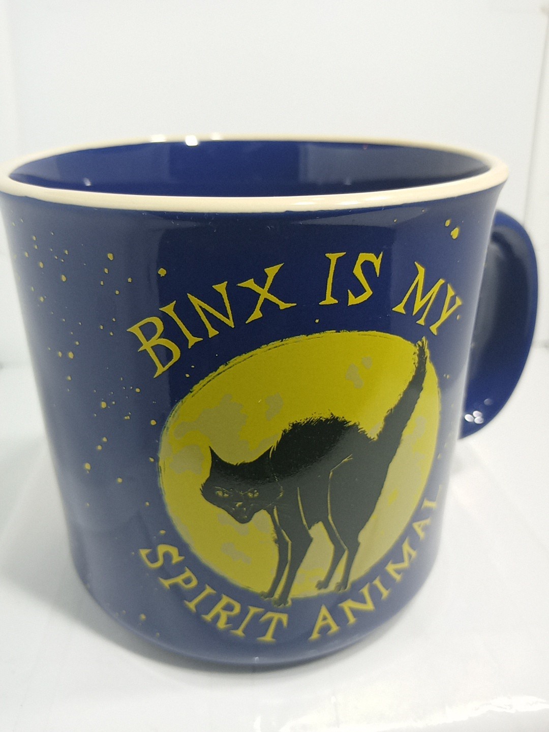 BINX IS MY SPIRIT ANIMAL MUG. BINX COFFEE MUG. DISNEY CAT DECO MUG. B398