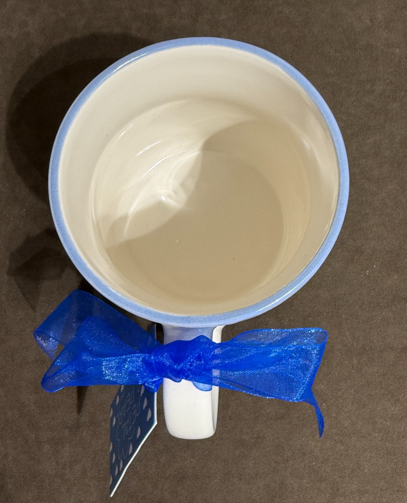 Petal & Pearl Blue Hydrangeas & Hearts Ceramic Mug with Dot Texture #675