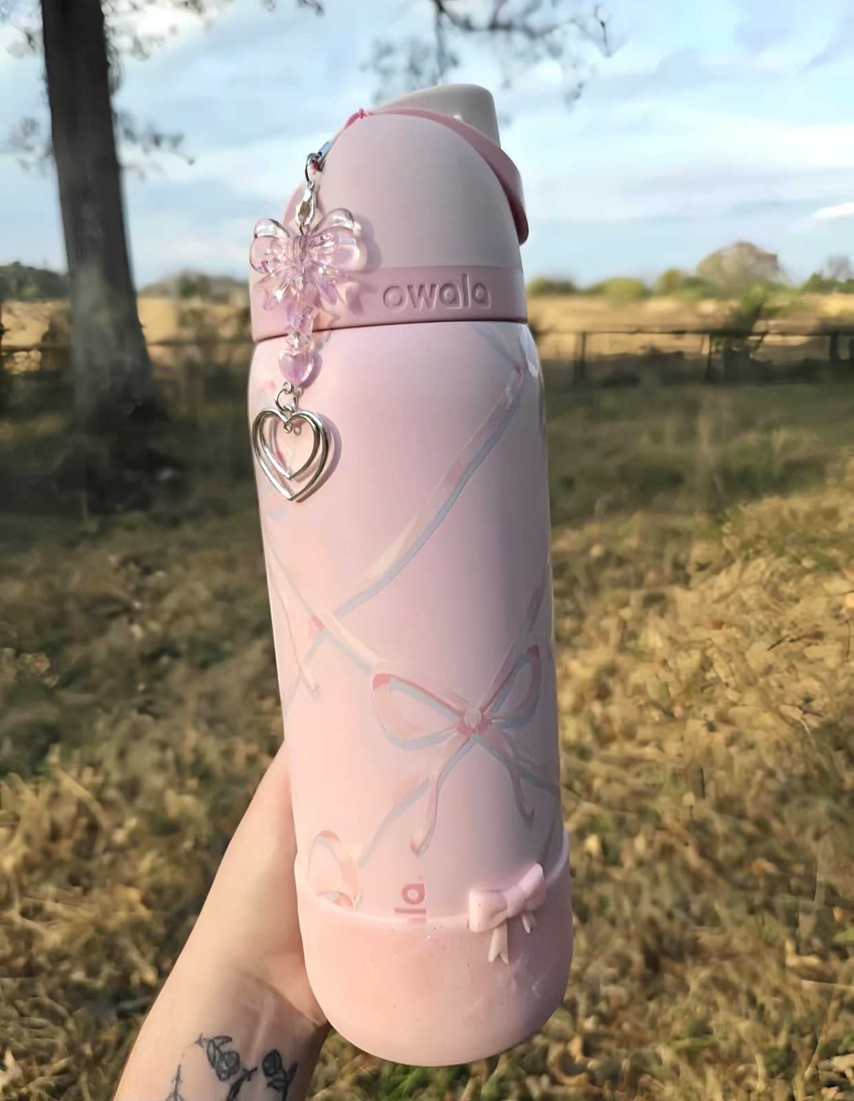 Owala 32oz FreeSip Stainless Steel Water Bottle – Sugar Plum Fairy-2026 Gift
