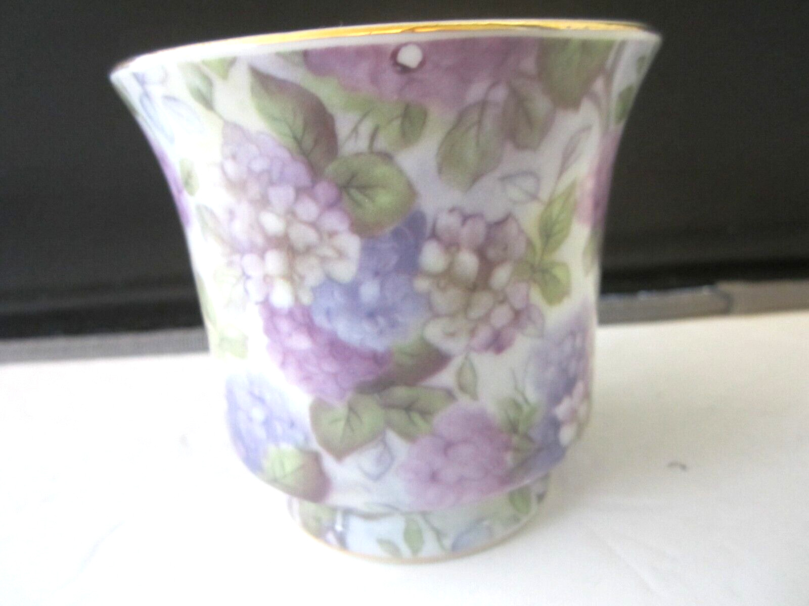 Darice Fine Bone China, White, Pink Wild Roses, Tea Coffee Cup Saucer 8 oz (455)