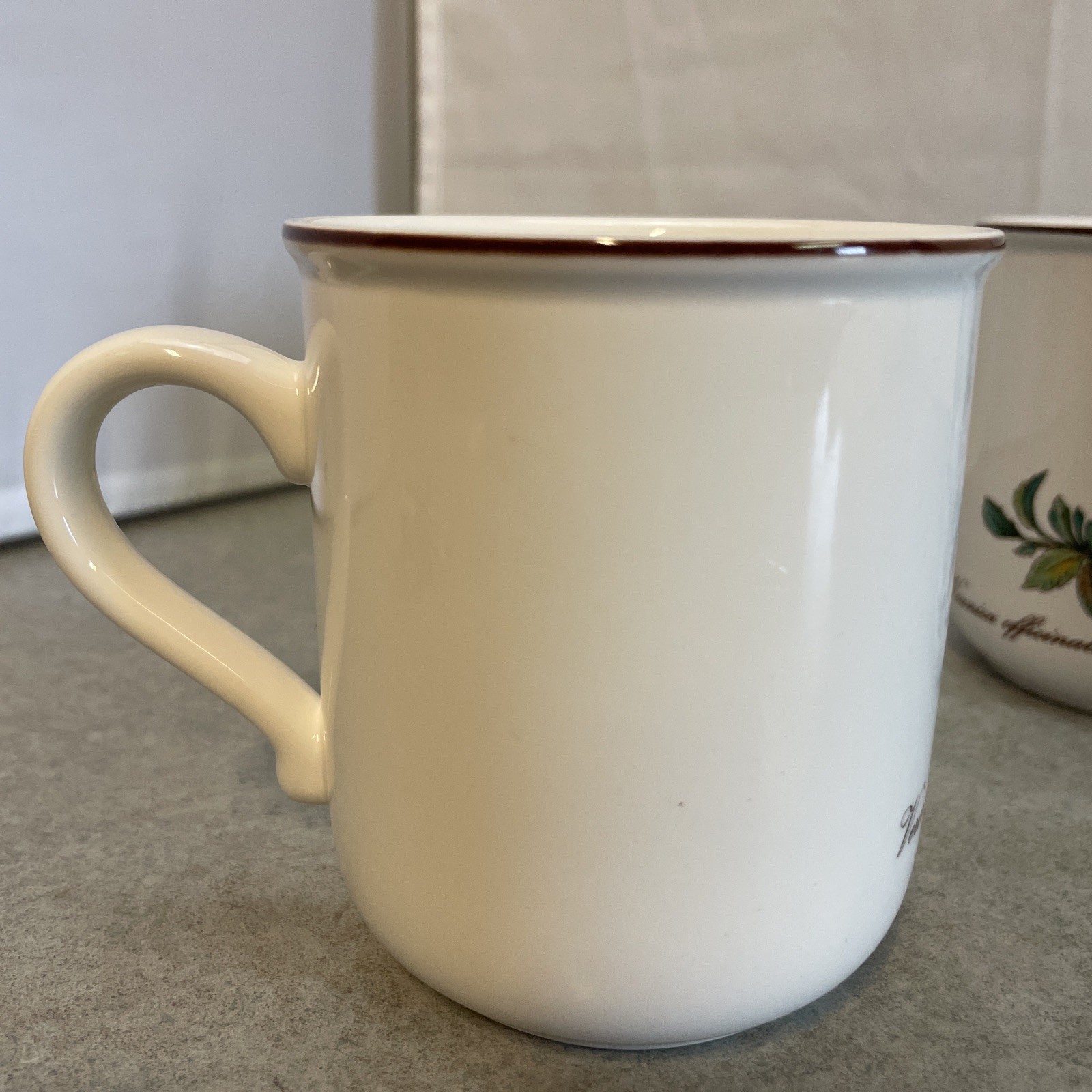 Villeroy & Boch Botanica Mug Coffee Tea Veronica Officialis Set of 3 Luxembourg
