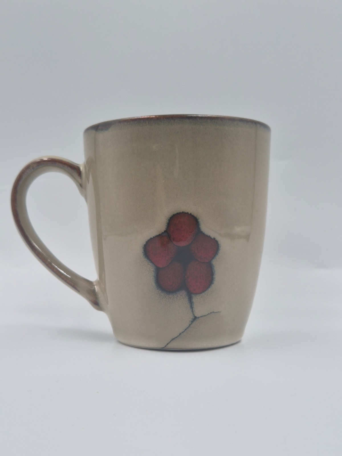 🔥 2 Pfaltzgraff Studio ASTER Coffee Mug Set – red flowers