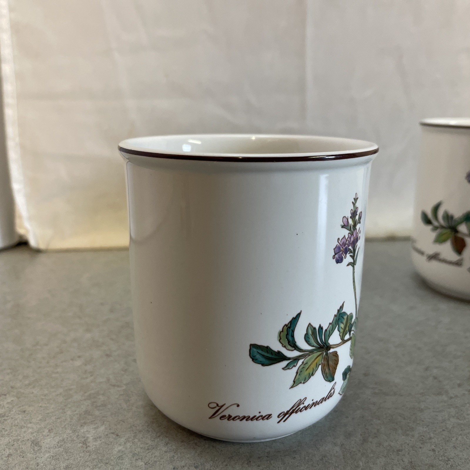 Villeroy & Boch Botanica Mug Coffee Tea Veronica Officialis Set of 3 Luxembourg