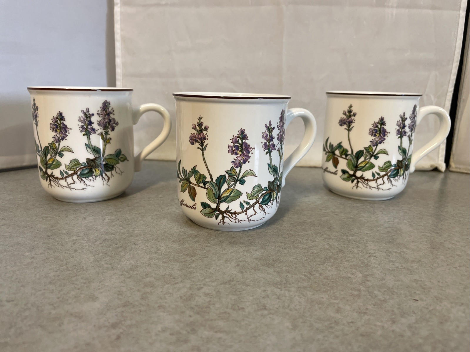 Villeroy & Boch Botanica Mug Coffee Tea Veronica Officialis Set of 3 Luxembourg
