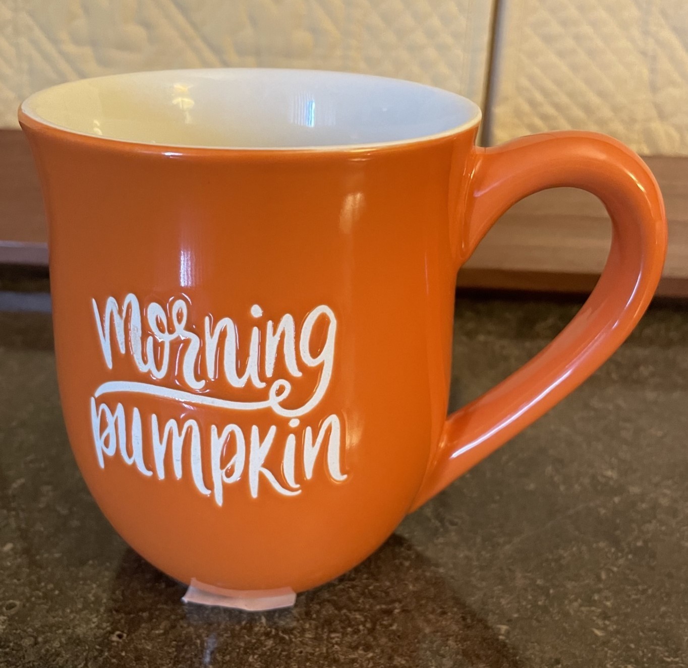 “Dash of That” 20 OZ *Morning Pumpkin* Coffee Mug (Gather) NWT see photo’s #045